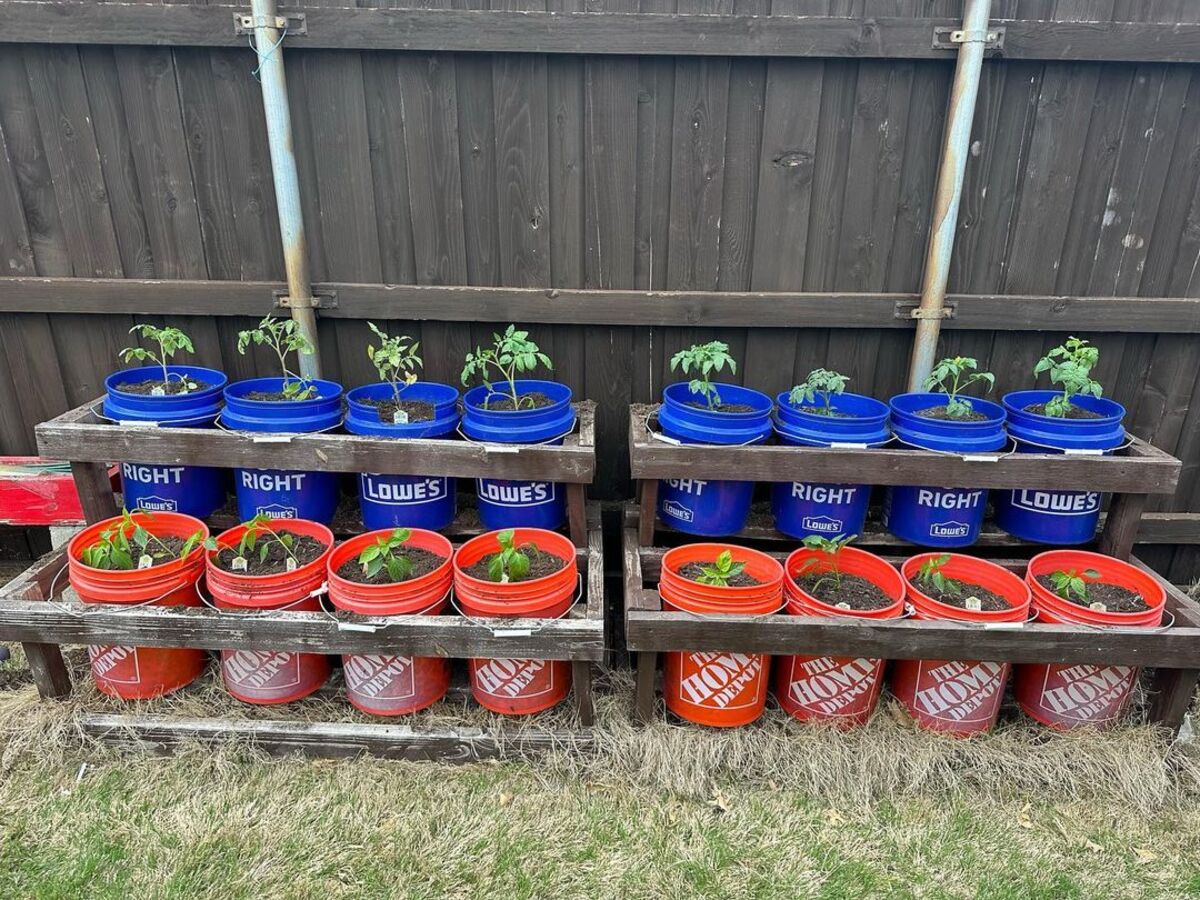 12 ideas para jardines de cubos 5