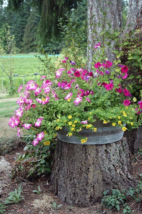 Jardinera con tocón