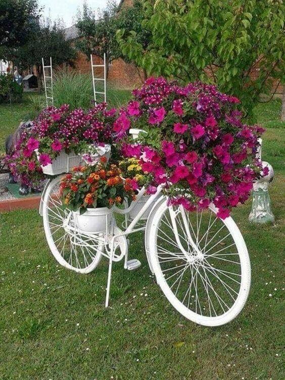 Bonita Bicicleta con Flor