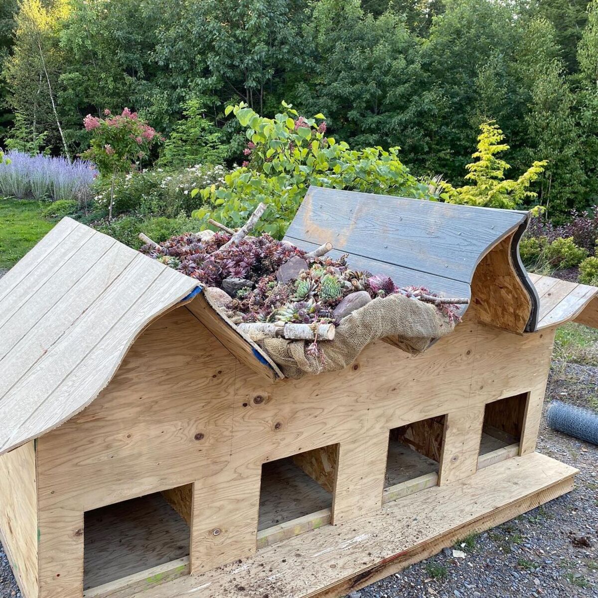 20 ideas de casas para patos patios traseros 1