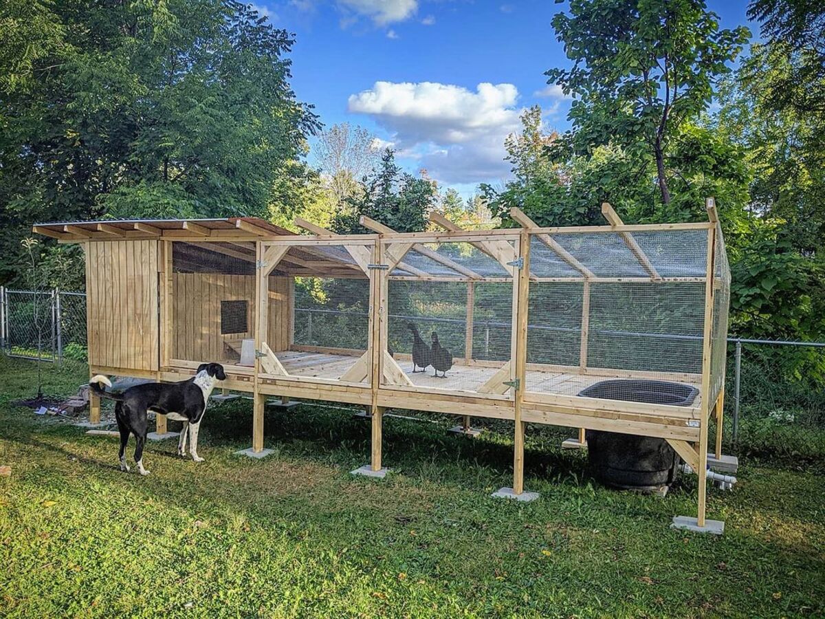 20 ideas para casetas de patos patios 11