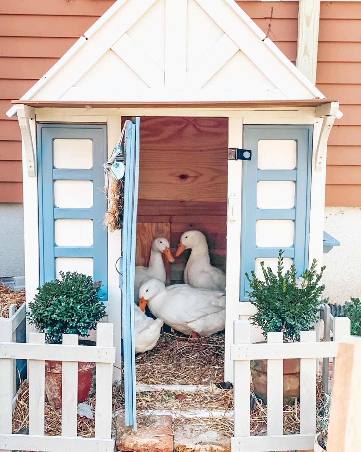 20 ideas de casas pato patios 15