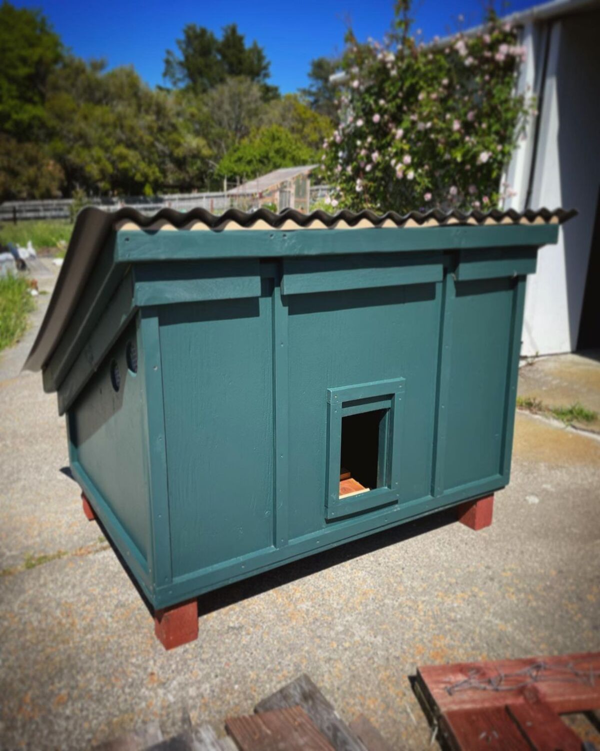 20 ideas de casas para patos patios traseros 3