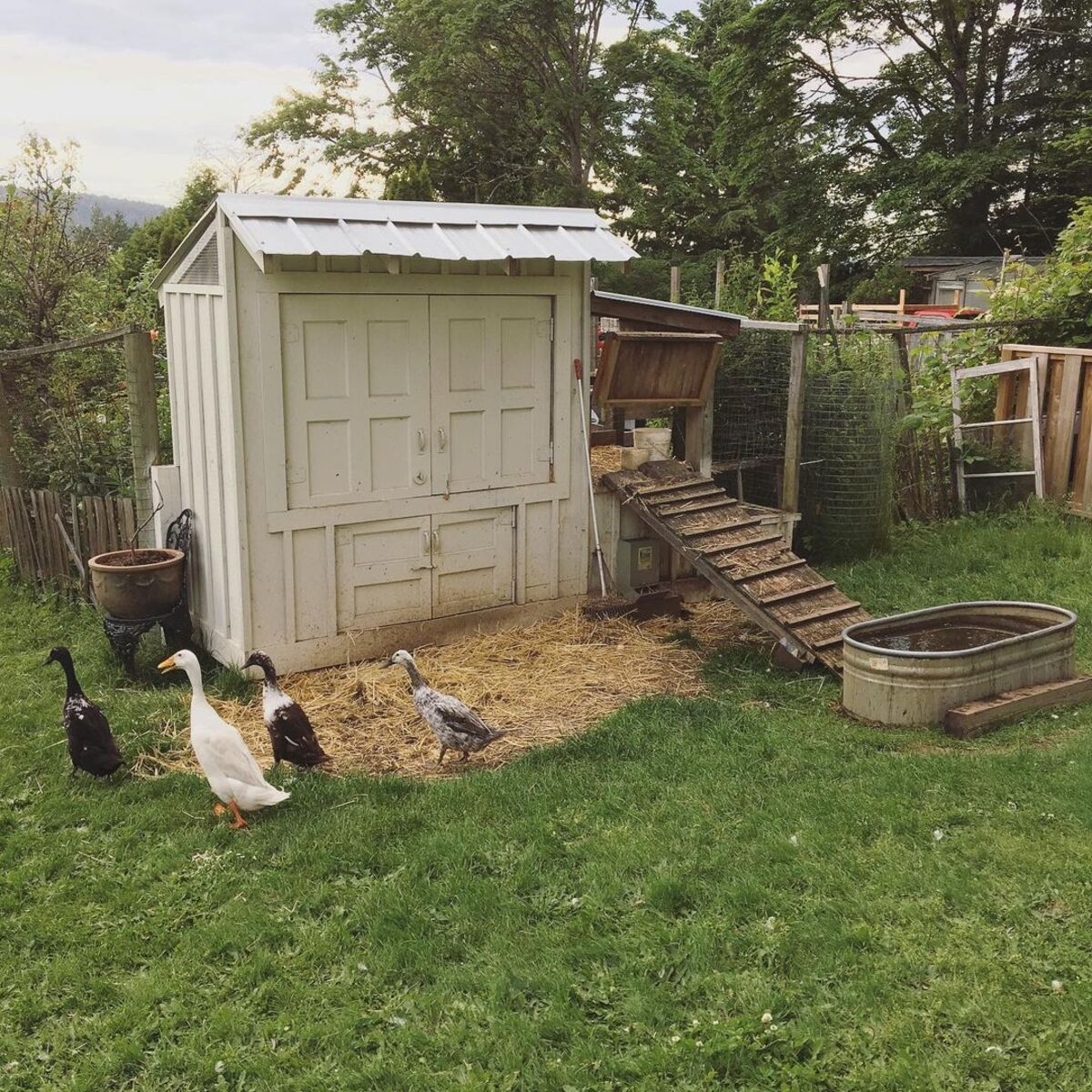 20 ideas de casas para patos patios traseros 9
