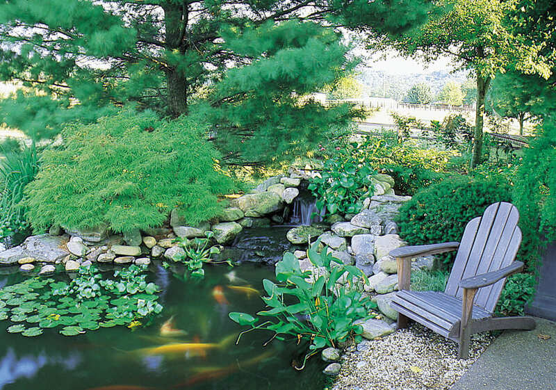 A Weathered Adirondack Chair Should Be Near Every Backyard Pond Because The Fact It Fit Nature Surroundings Very Well#4 Añadir un estanque a un pequeño jardín urbano puede ser una forma estupenda de darle un toque especial a las cosas