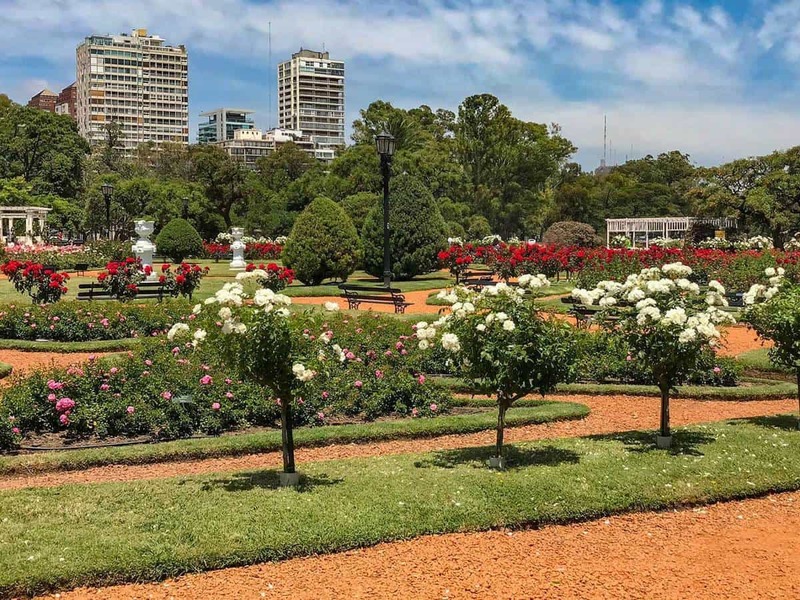 Sueño de un amante de las rosas