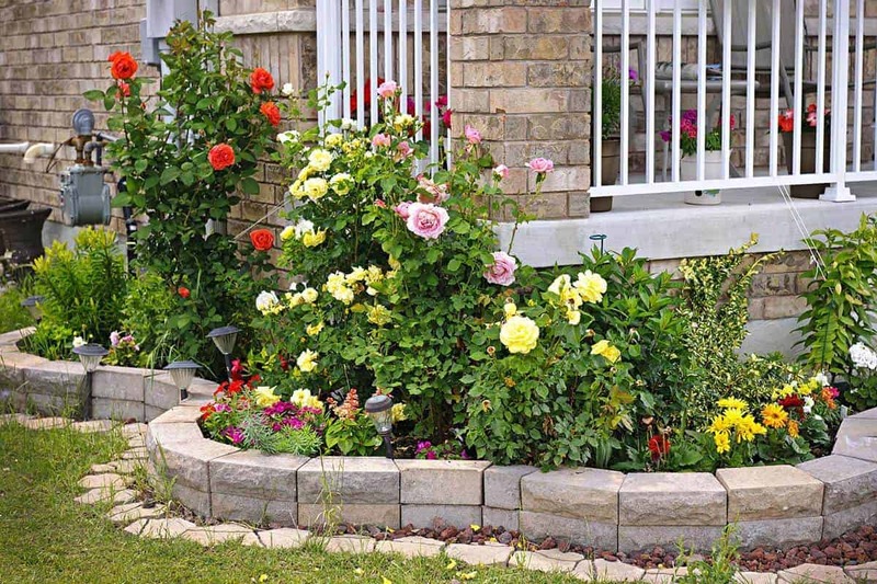 Contenedor pavimentado