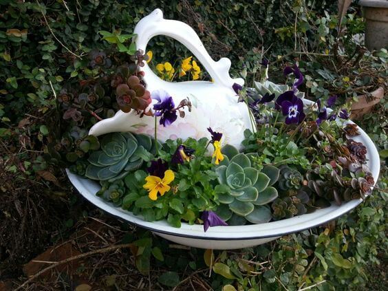 Una pequeña maceta de suculentas