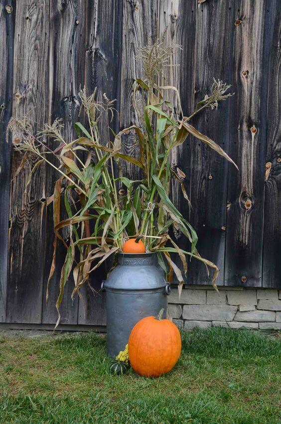   Decoración otoñal del jardín