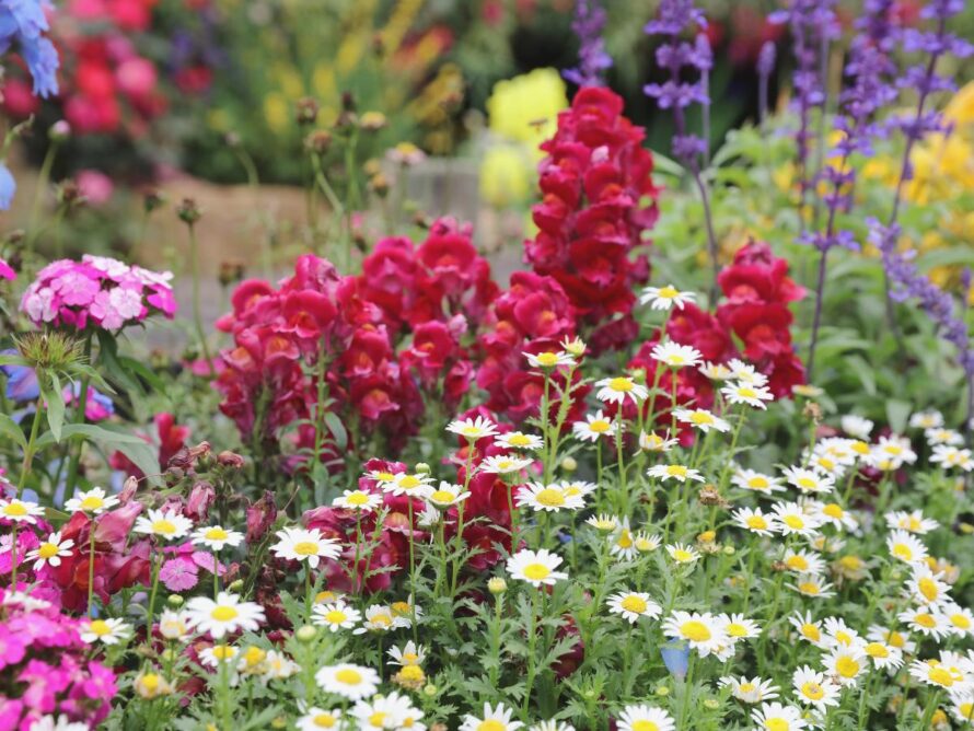 ideas asequibles para el jardín 04