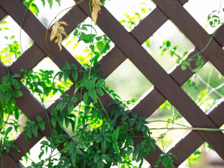 ideas asequibles para el jardín 14