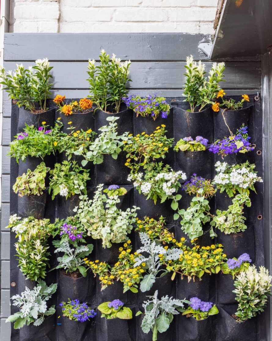 ideas asequibles para el jardín 16