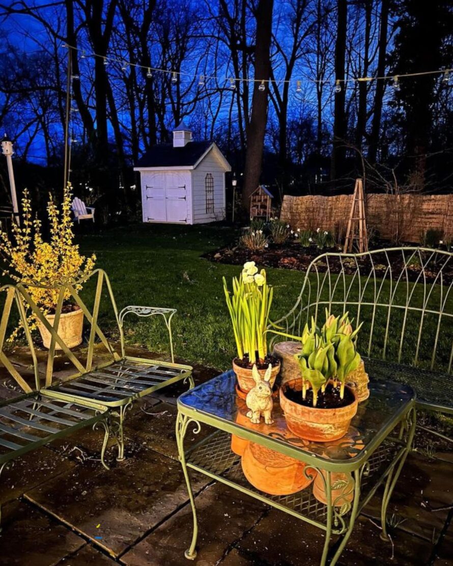 ideas para patios traseros asequibles 19