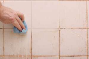 Descubre cómo quitar el moho del baño para siempre