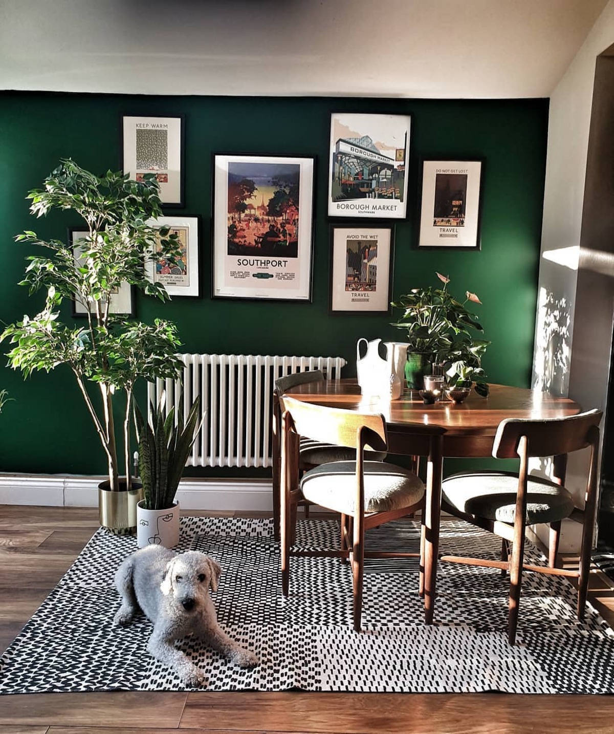 pared de acento verde oscuro 25