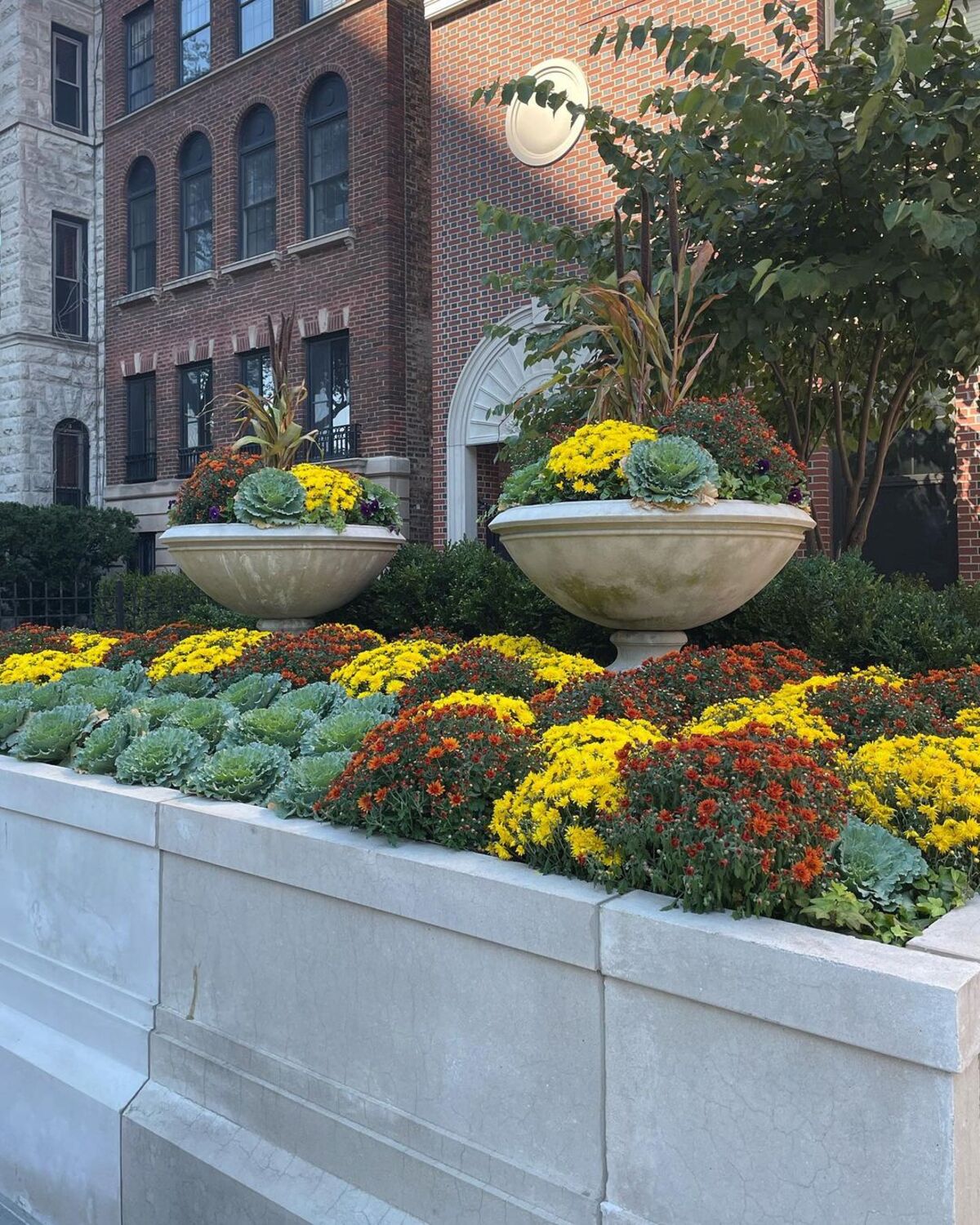 ideas inventivas para el jardín de otoño 15