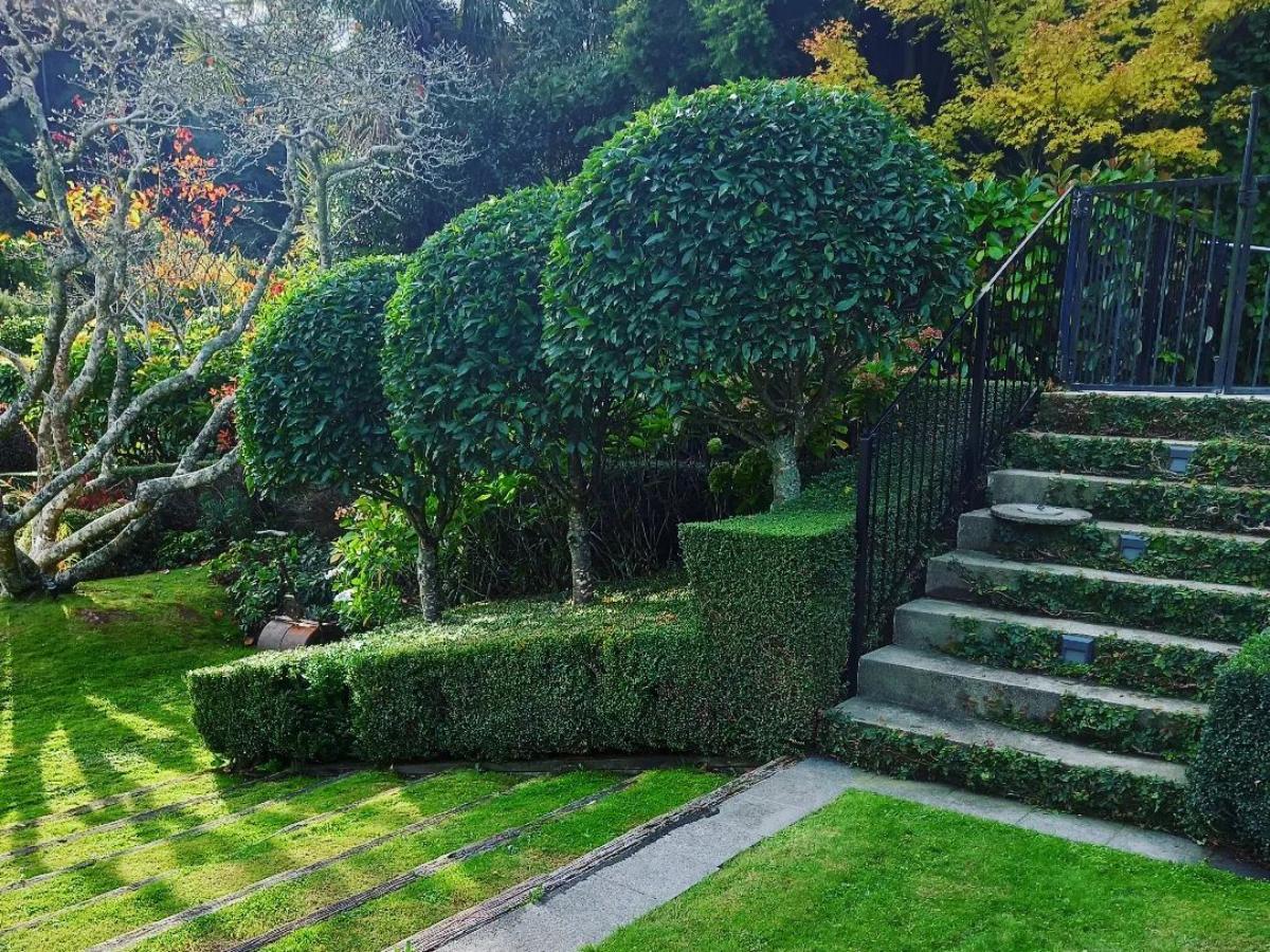 cambio de imagen del jardín a finales de verano 08