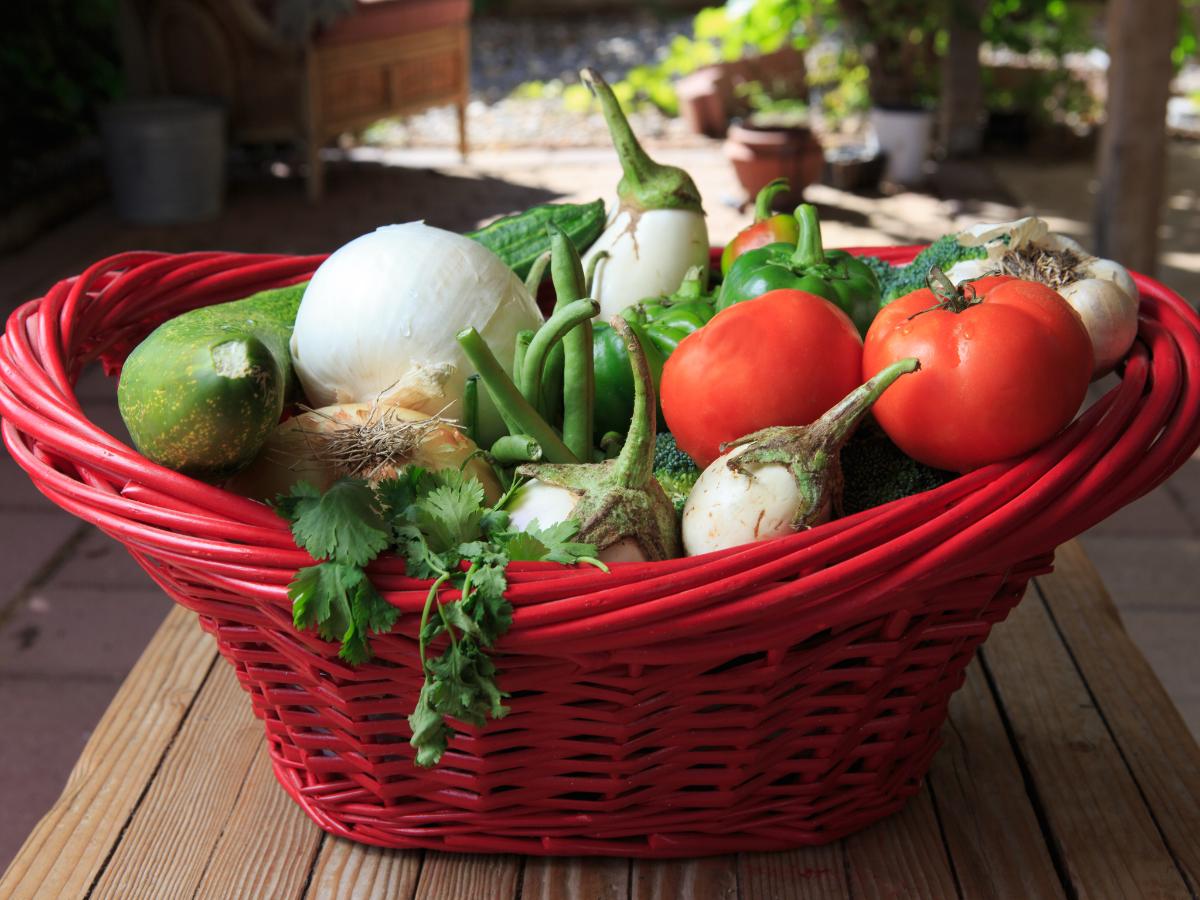 transformaciones del jardín a finales de verano 09