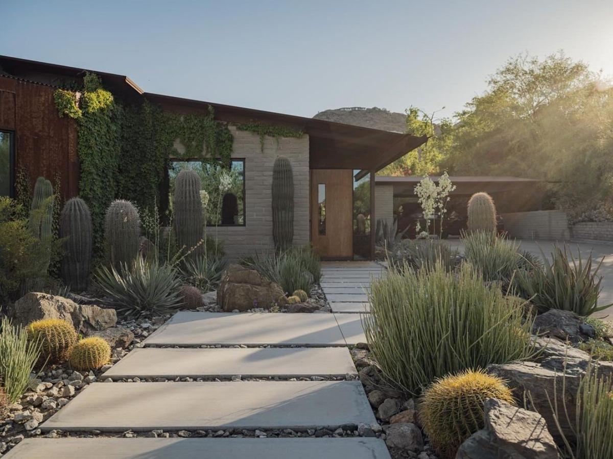 ideas de paisajismo moderno de mediados de siglo 16