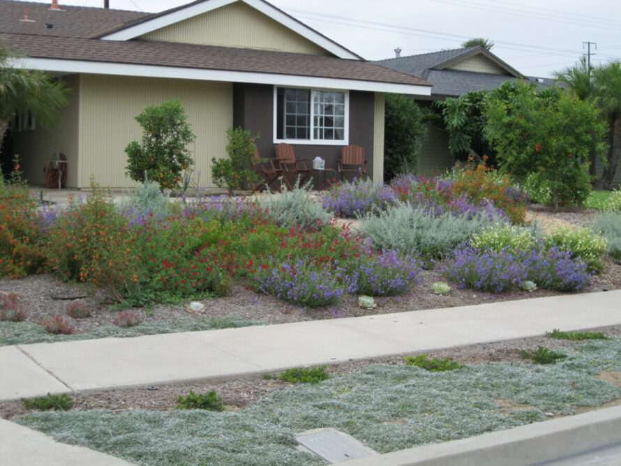 diseño de jardines perennes patios delanteros 12