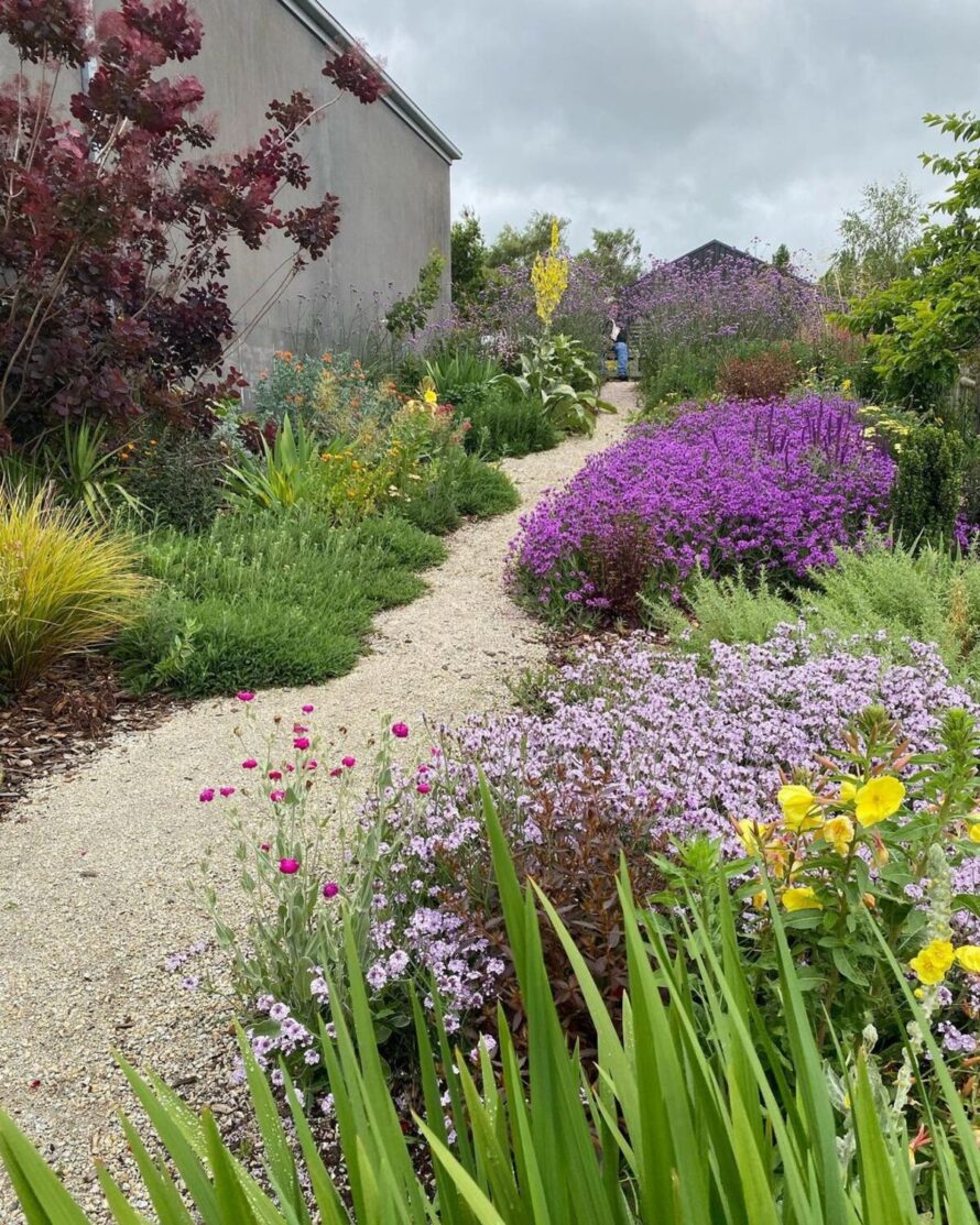 diseño de jardines perennes patios delanteros 2