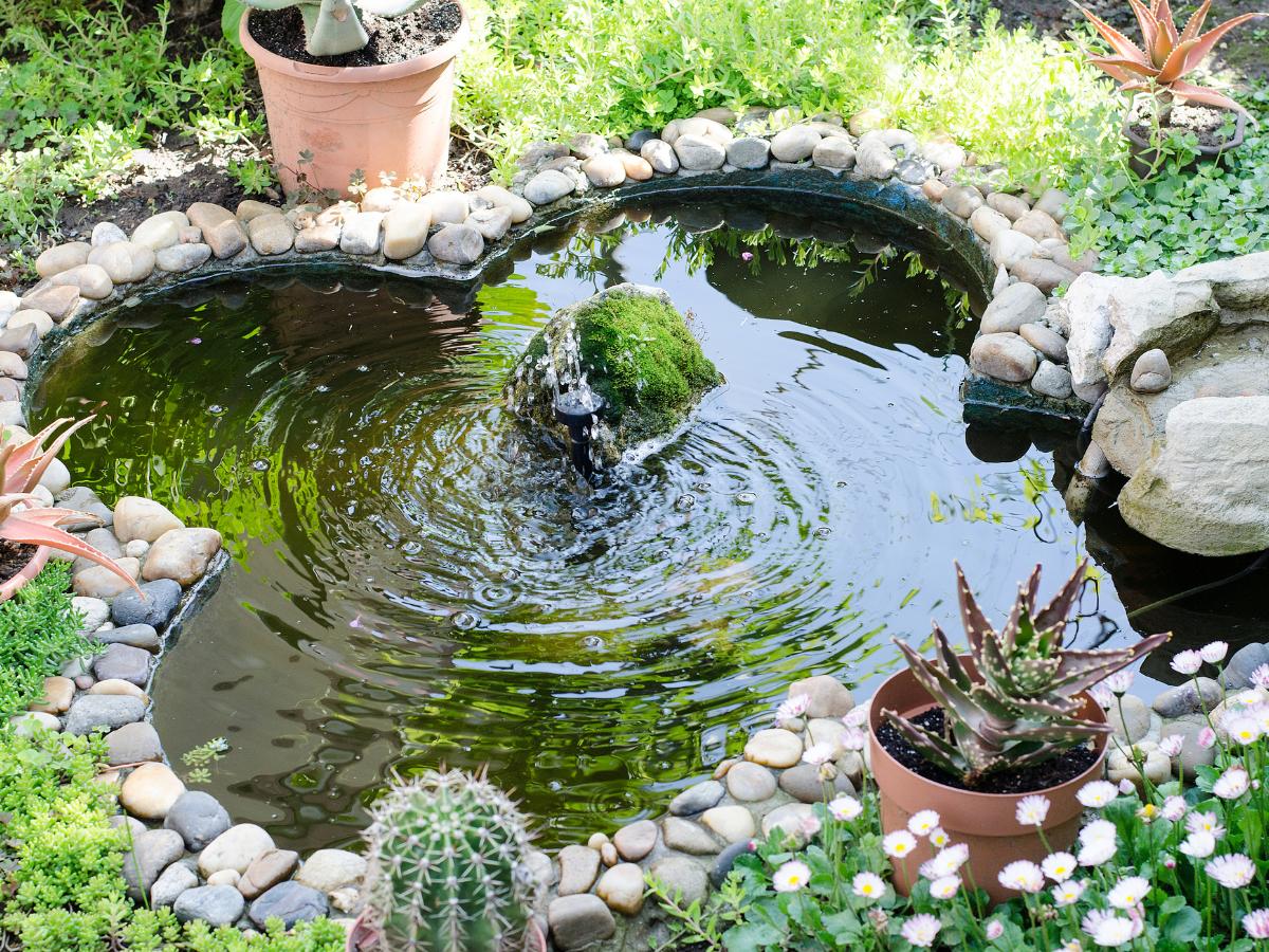 consejos para preparar el jardín para el otoño 03