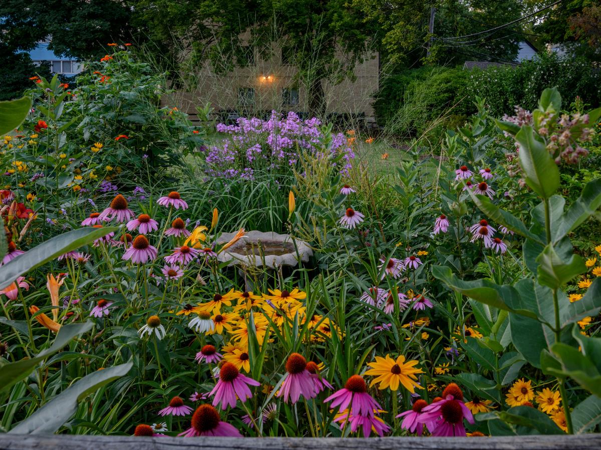 consejos para preparar el jardín para el otoño 05