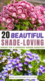 los mejores arbustos de sombra