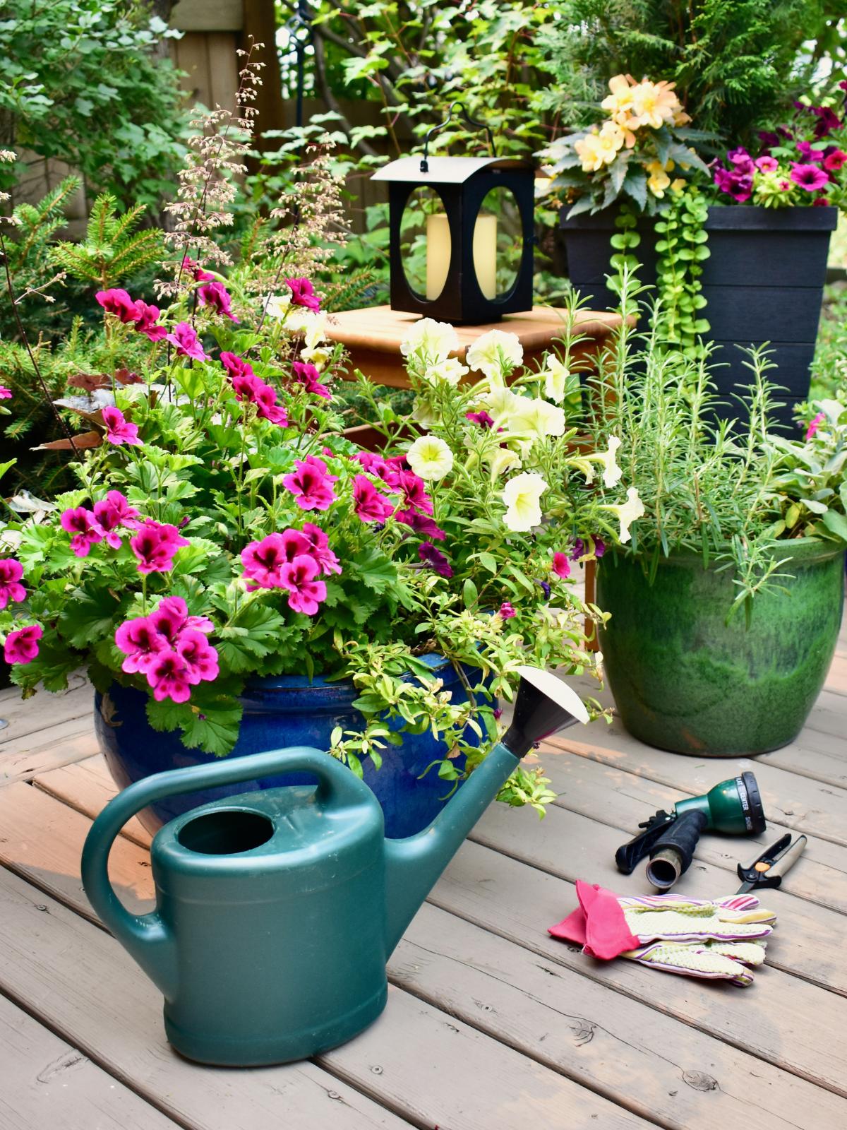 tareas urgentes jardín 5