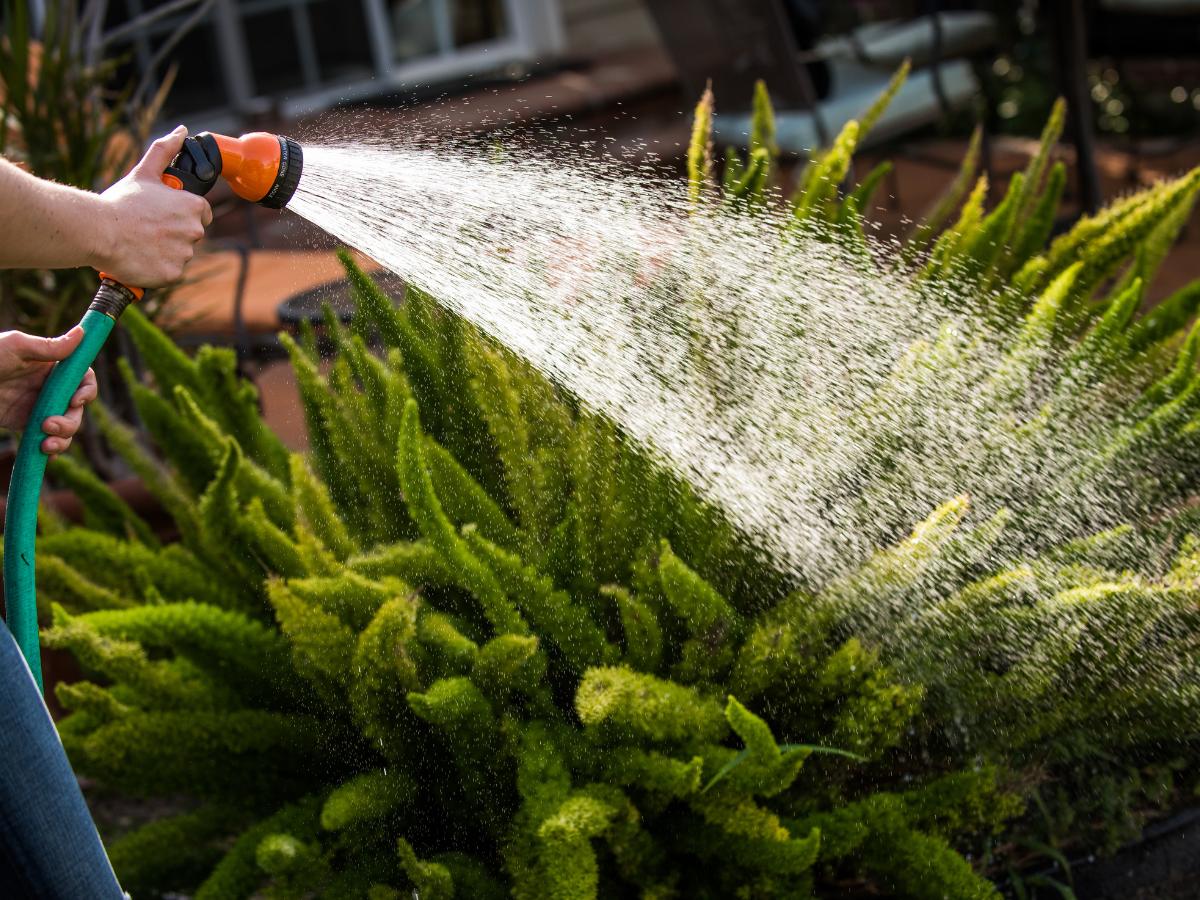 proyectos de jardinería diy de fin de semana para el 11 de agosto